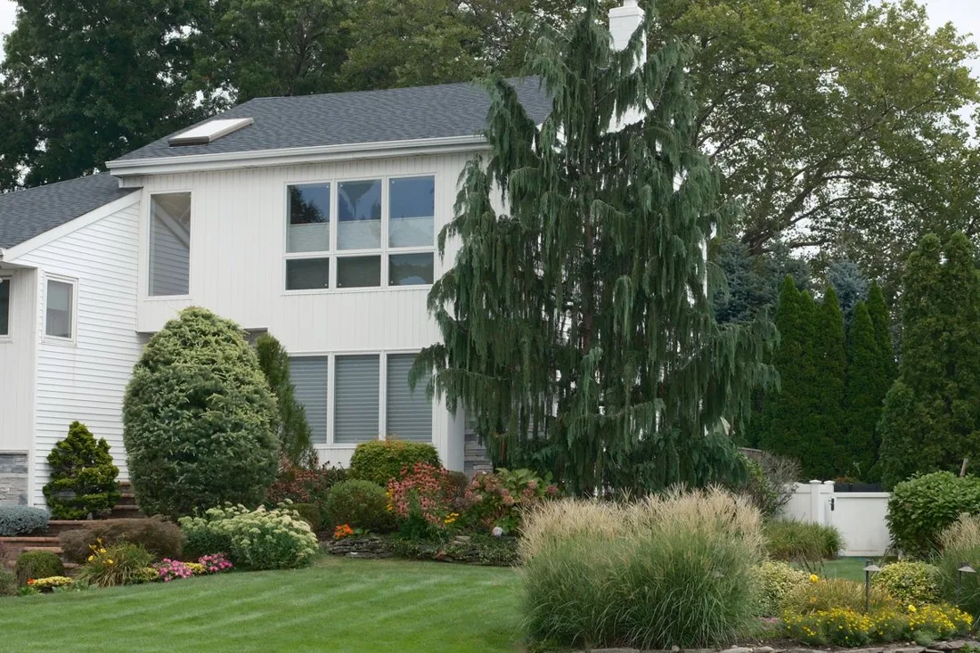 Landscaped single-family home